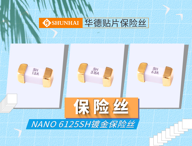 6125慢斷保險絲_6125抗浪涌保險絲